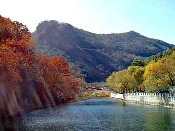 天堂日韩手机在线，股市论坛